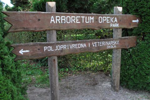 Ulaz u Arboretum Opeka