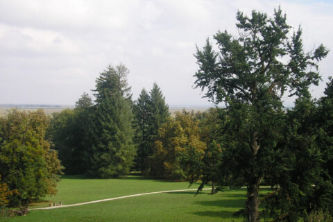 Arboretum opeka