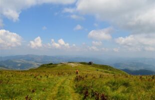 Nacionalni park Kopaonik