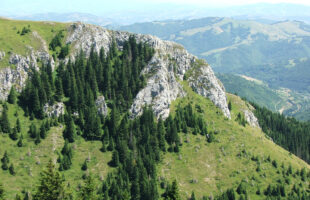 Nacionalni park Kopaonik