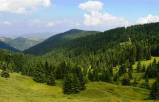 Nacionalni park Kopaonik