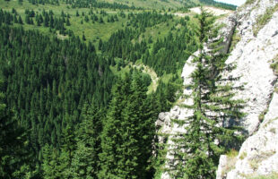 Nacionalni park Kopaonik