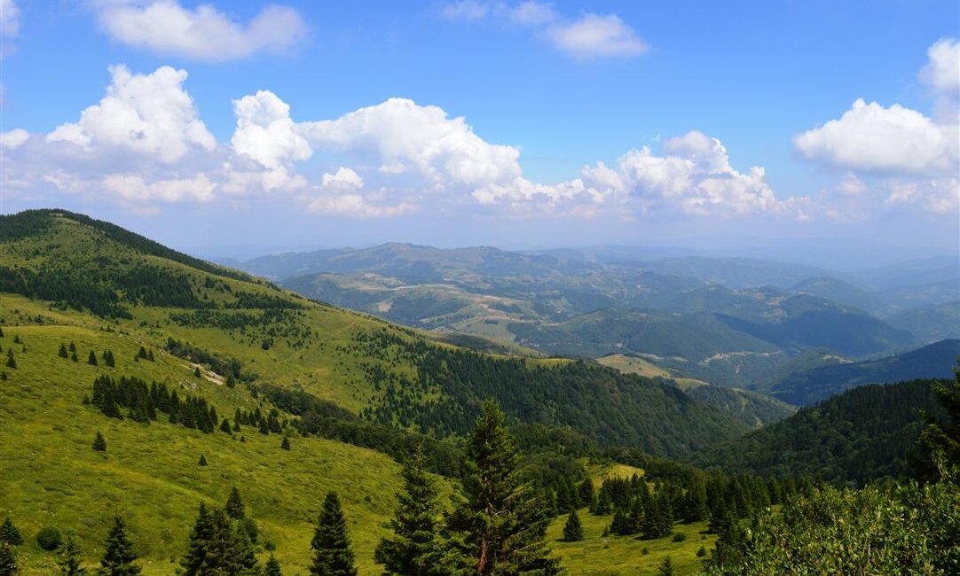 Nacionalni park Kopaonik