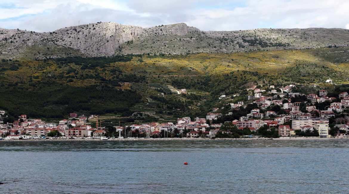 Kozjak Plantea Plantea