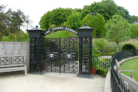 Vrtovi Alnwick